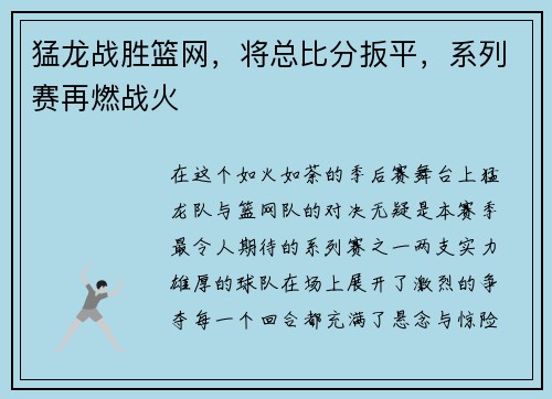 猛龙战胜篮网，将总比分扳平，系列赛再燃战火