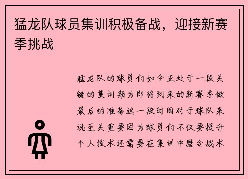 猛龙队球员集训积极备战，迎接新赛季挑战