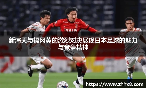 TVT体育平台
